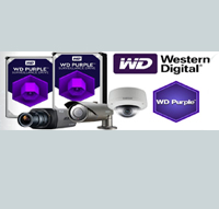 WD Western Digital  Purple Pro