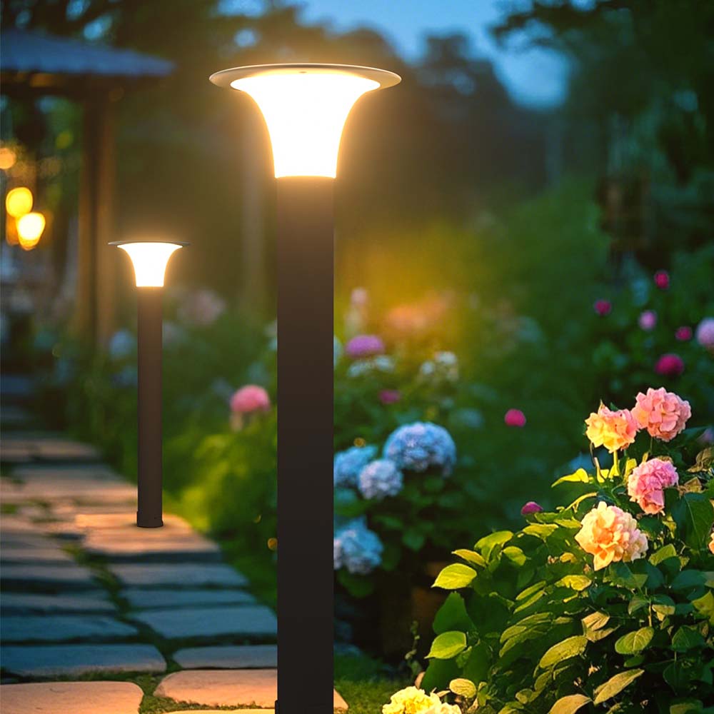 Solar LED Pole Light 
