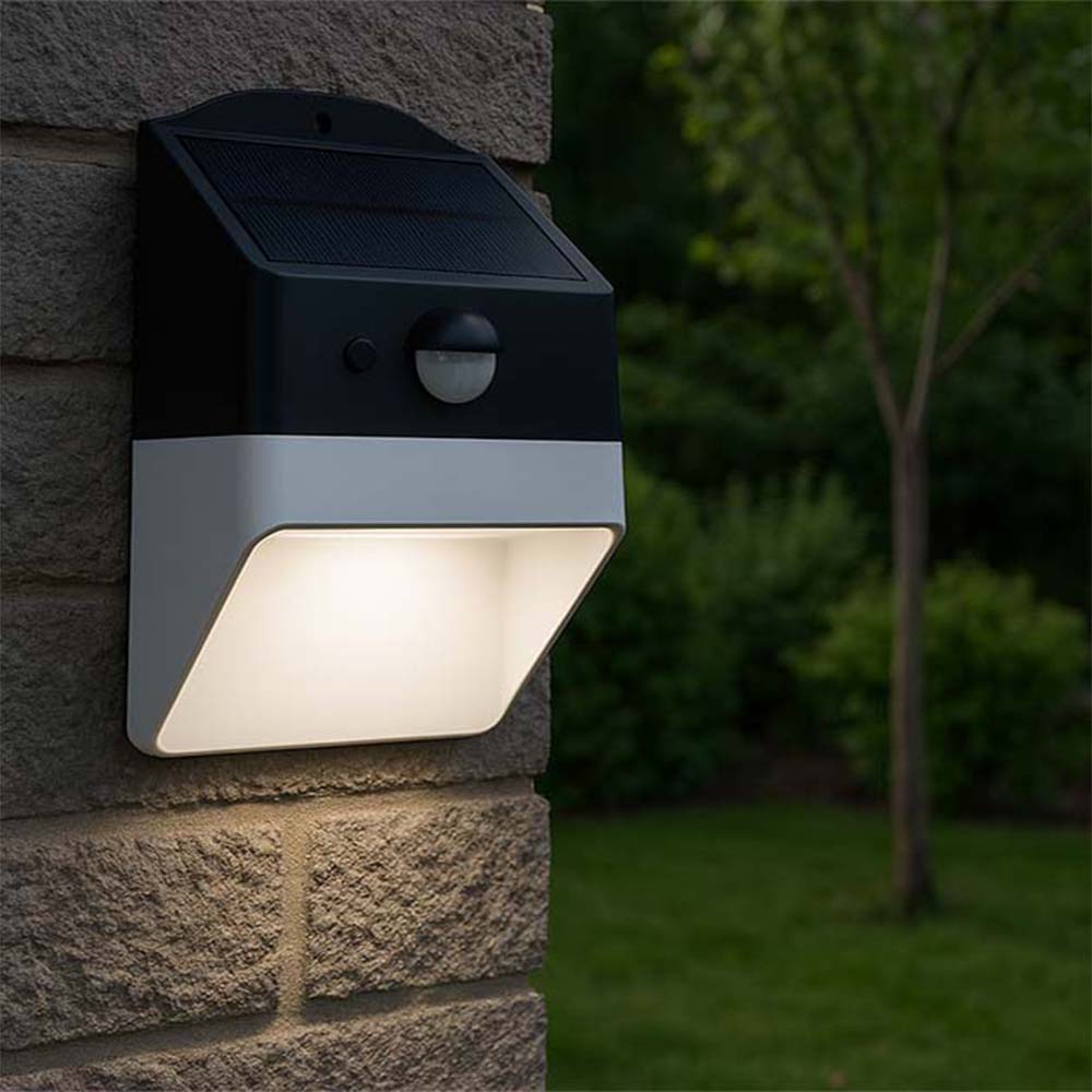 Panda Series-Solar Wall Light 2W